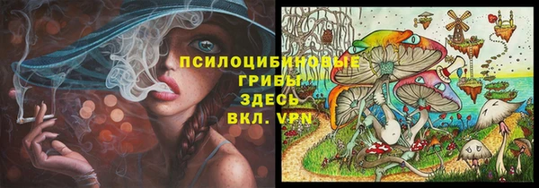 ешки Куйбышев