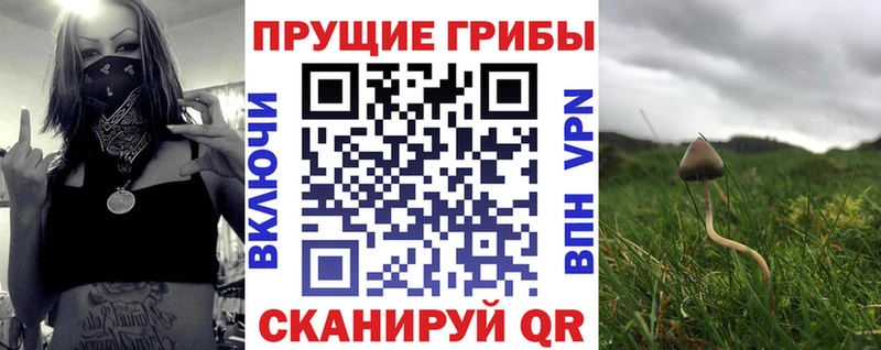 Псилоцибиновые грибы MAGIC MUSHROOMS  Купить закладки  Майкоп 